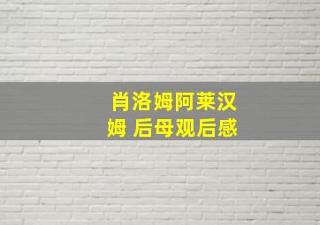 肖洛姆阿莱汉姆 后母观后感